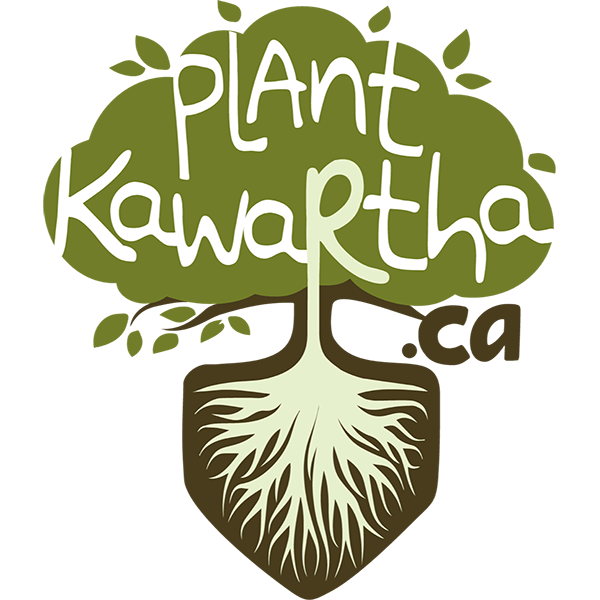 Home Page Plant Kawartha